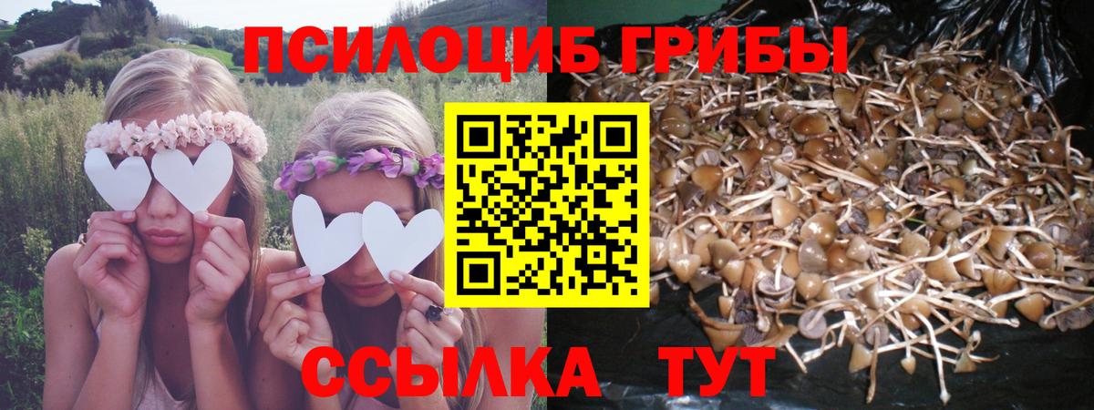 Галлюциногенные грибы GOLDEN TEACHER Сергиев Посад