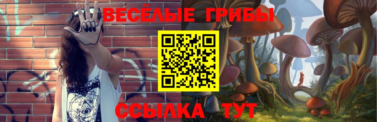 Псилоцибиновые грибы Psilocybe  цены   Сергиев Посад  Галлюциногенные грибы мицелий  Вход с VPN 